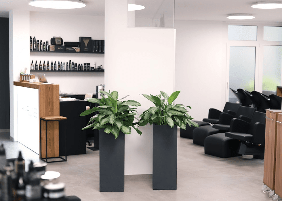 Überblick über den Hairline Salon